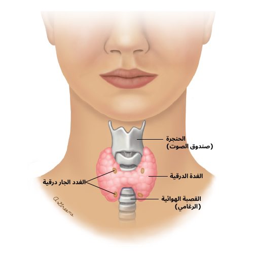 الغدة الدرقية والغدد جار الدرقية